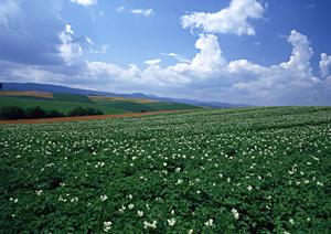 富士市原田の安心葬儀を実現する【富士葬祭 富士原田】の概要と特徴