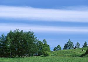 静岡市の家族葬と多様な葬儀プランを提供する富士葬祭 聖一色｜地域密着の安心葬儀サポート