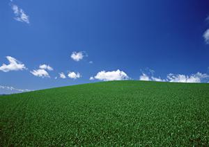 静岡県浜松市中央区に新オープンした家族葬専門斎場「家族葬のタクセル住吉」の特徴と利点