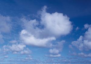 静岡県藤枝市の家族葬・一日葬を安心サポートする富士葬祭藤枝城南の詳細ガイド