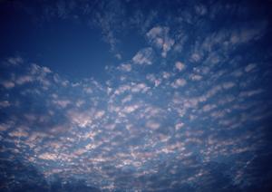 浜松市中央区に根ざした信頼の葬儀サービス｜富士葬祭 高林の特色とご案内